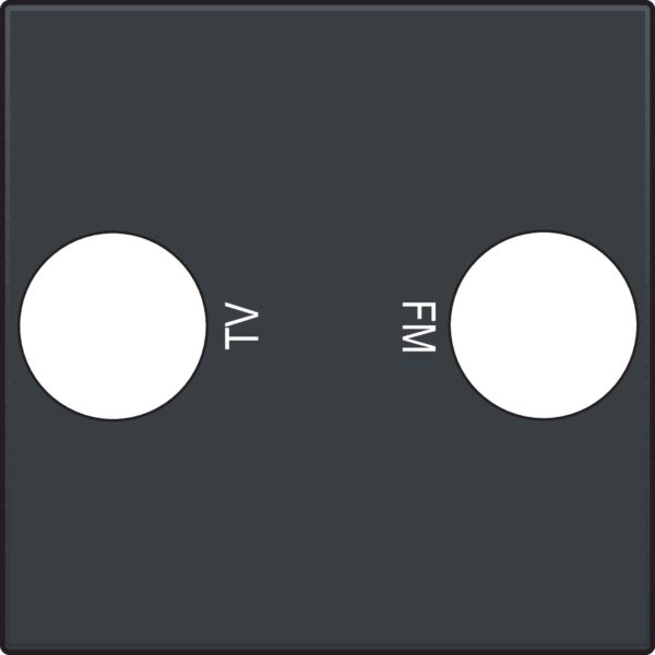 AFDÃ†KNING TV/FM UDTAG, ANTRACIT