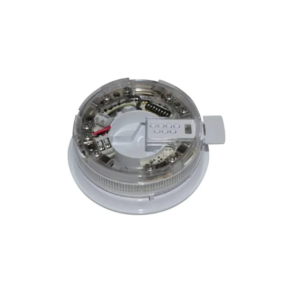 ADDR. SOKKELBLITZ, INTELLIA.45681-709APO