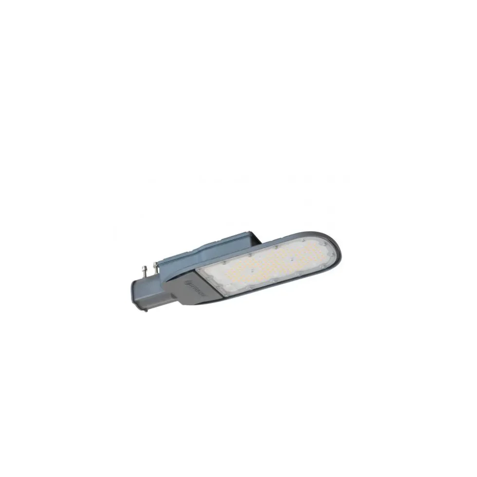 ECOAREASPD 120W 830 IP66 GY FS1 LEDV