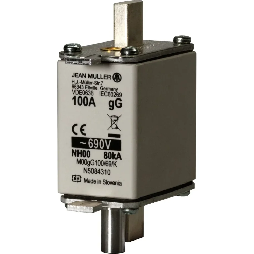 NH00 SIKRING 690V 100A GG