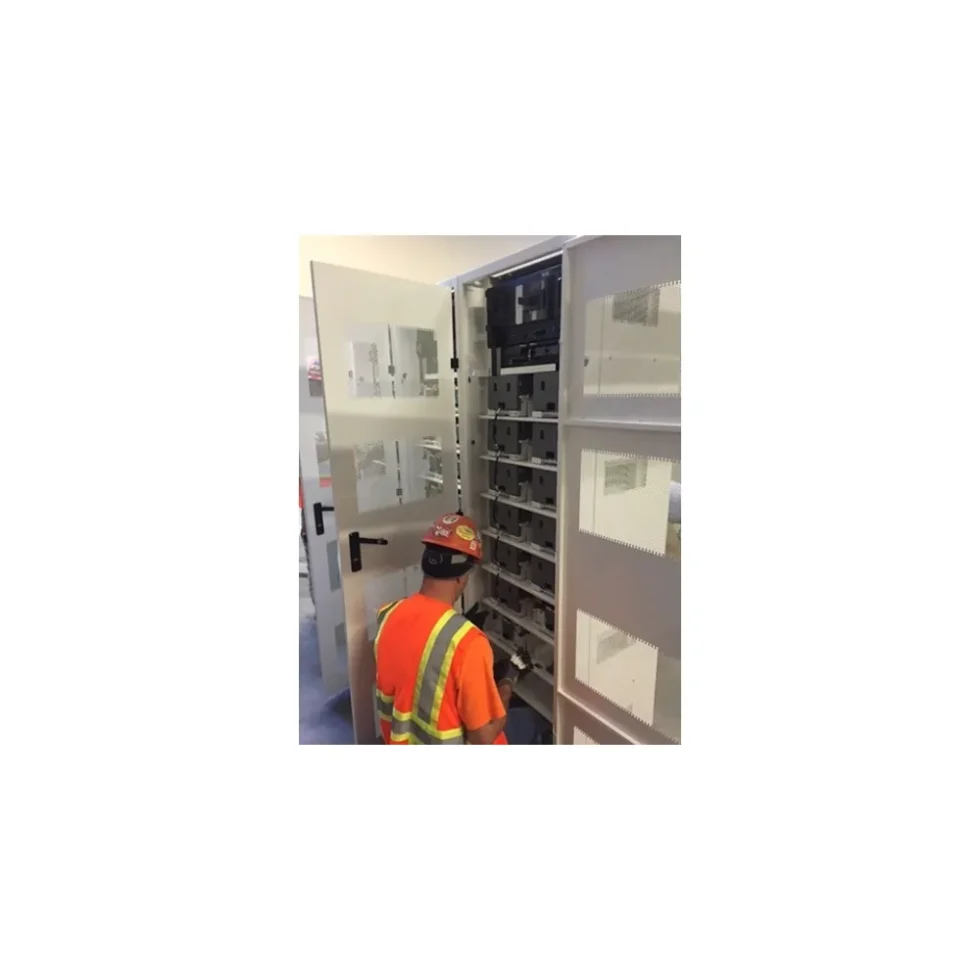 STARTUP SERVICE, 2X LI-ION BATT SOLUTION
